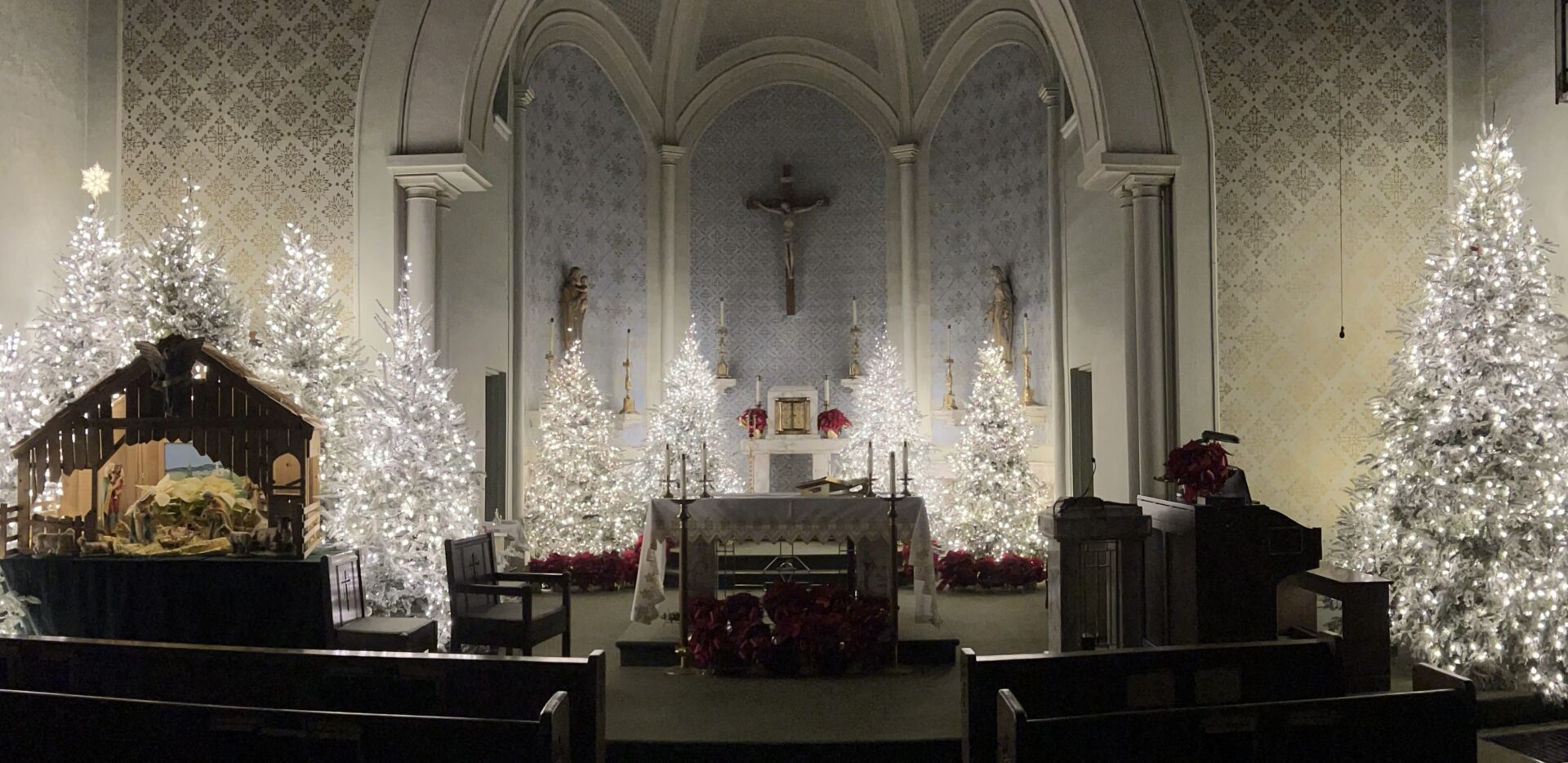 A beautiful view of the church with white Christmas trees